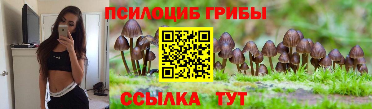 Псилоцибиновые грибы Psilocybine cubensis Зеленодольск