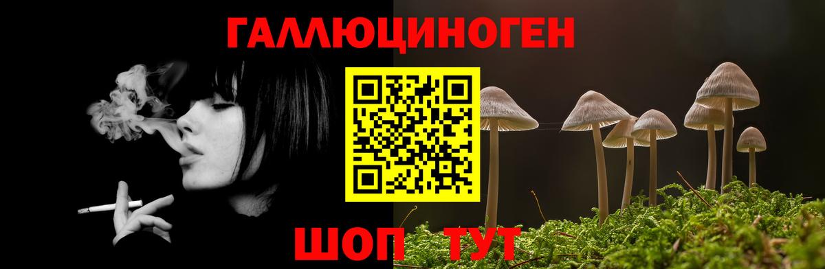 где можно купить   Вход с VPN  Зеленодольск  Галлюциногенные грибы MAGIC MUSHROOMS  Галлюциногенные грибы GOLDEN TEACHER 